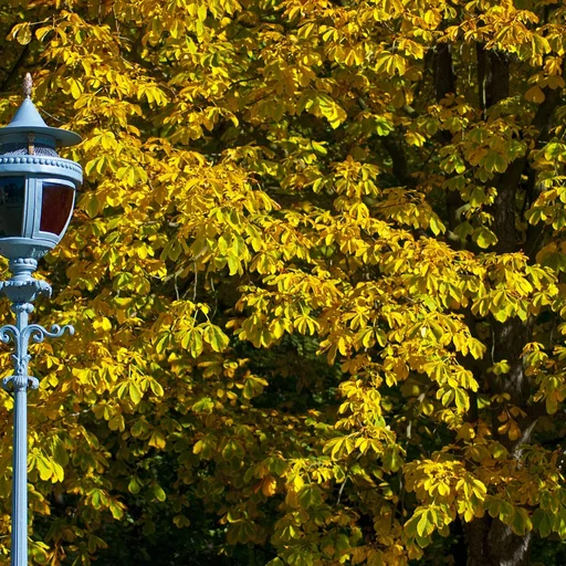 壹号娱乐博彩牌照